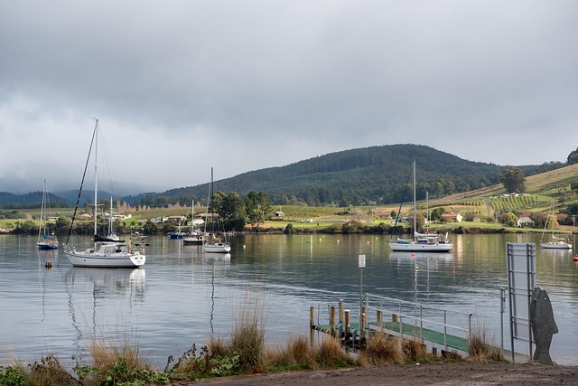 harbour yacht