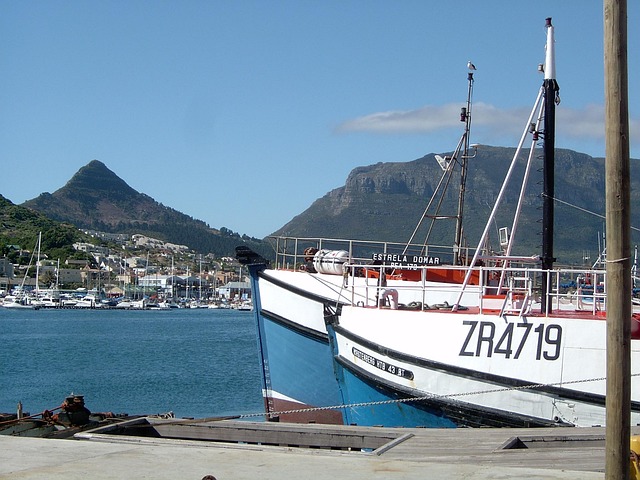 harbour yacht