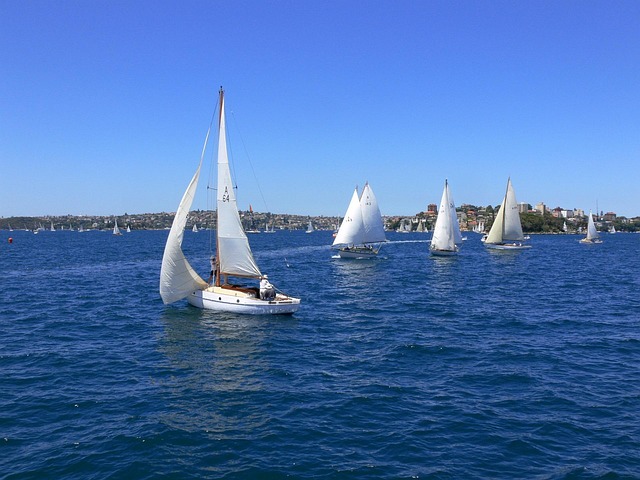 harbour yacht