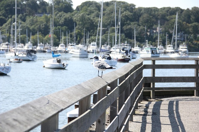 harbour-yacht-640x480-64966551.jpeg