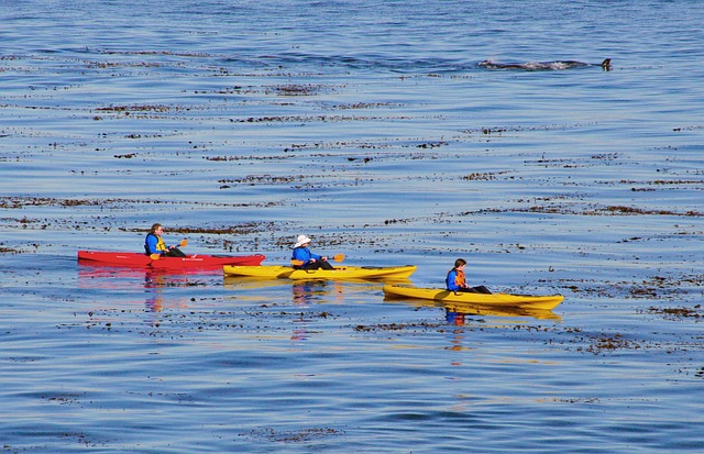 hatta kayak timing