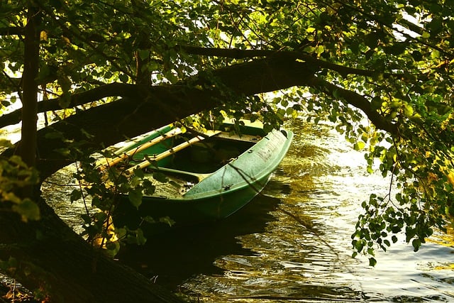 hatta kayak timing