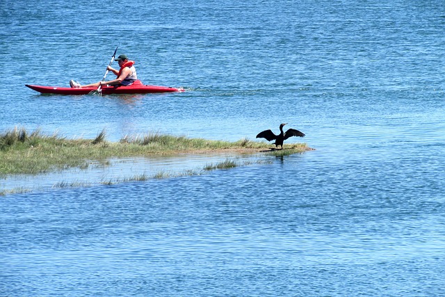 Hatta Kayak Timing: Daily Schedule & Official Updates for Your Adventure