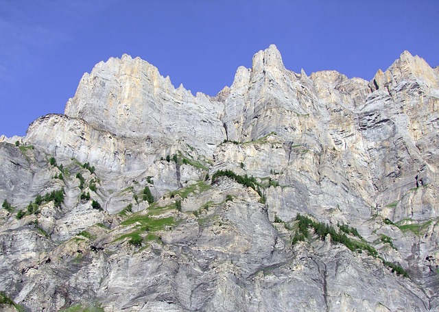 Hatta Overnight Tour Dubai: Nighttime Wildlife Adventures Await