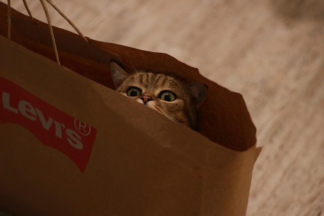 hatta package