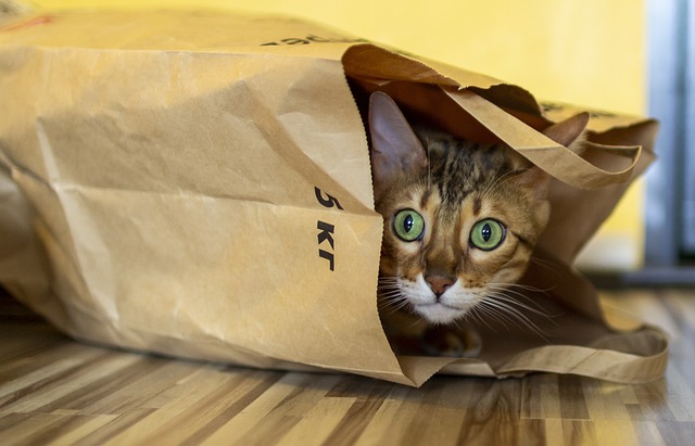 hatta package