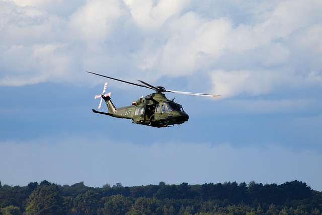 Helicopter Flights