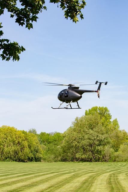 Helicopter Ride