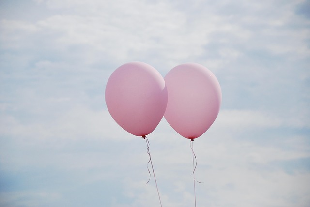 Hot Air Balloon
