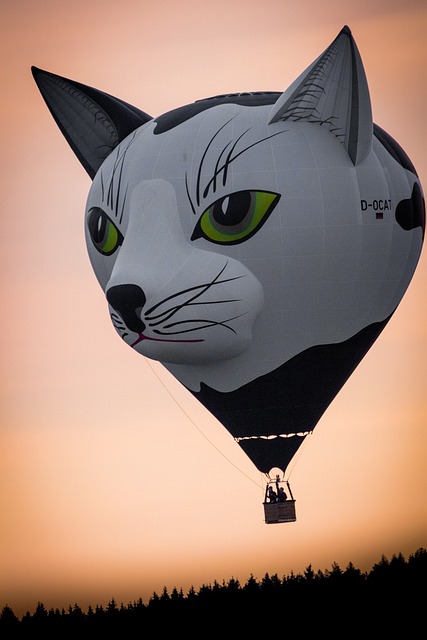 Hot air balloon Deira