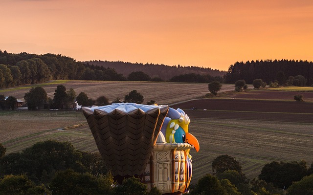 hot-air-balloon-desert-640x480-50325704.jpeg