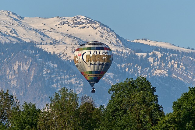 Hot air balloon Discovery Gardens