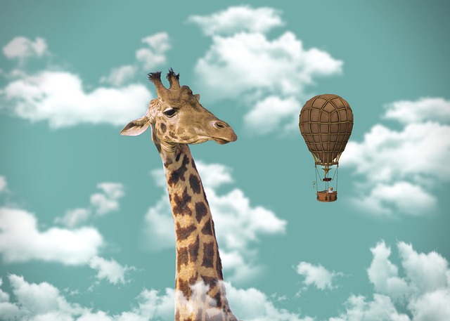 Hot Air Balloon with Chauffeured