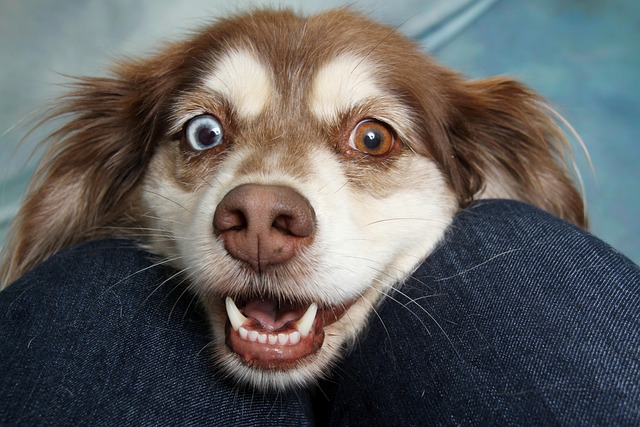img-world-640x480-11250906.jpeg