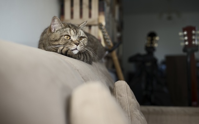 img-world-640x480-26284317.jpeg