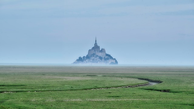 img world