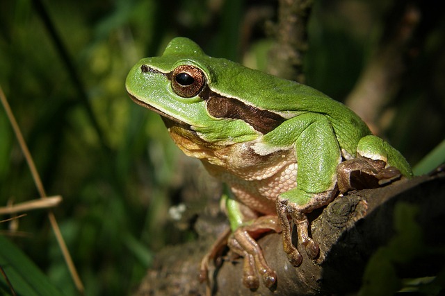 img-world-640x480-33534518.jpeg