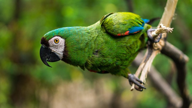 img-world-640x480-71536356.jpeg