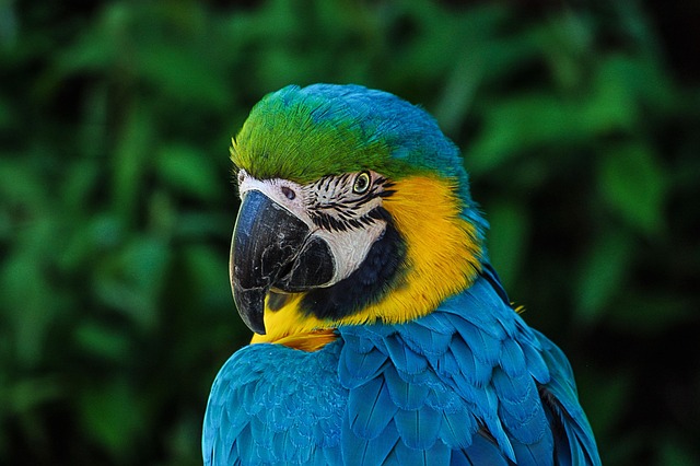 img-world-640x480-73233768.jpeg