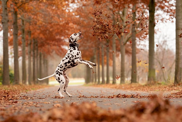 img-world-640x480-74349971.jpeg