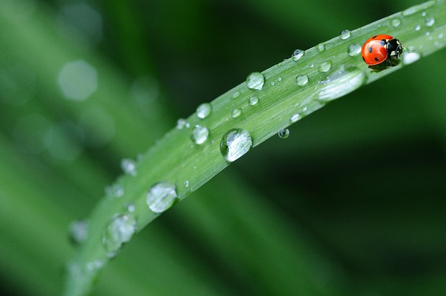 img-world-640x480-87223835.jpeg