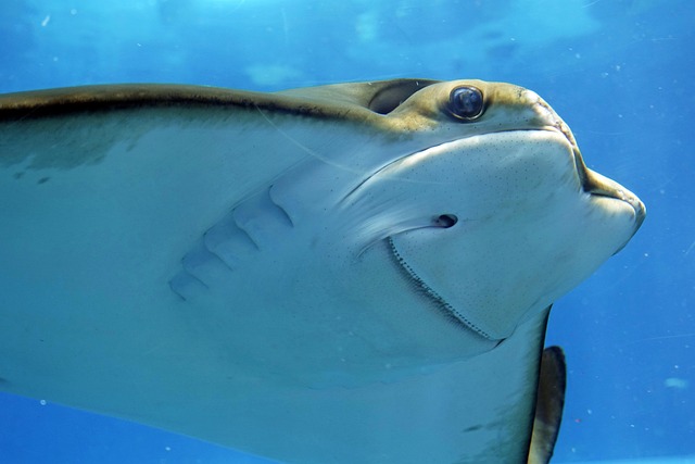 img-world-640x480-91685708.jpeg