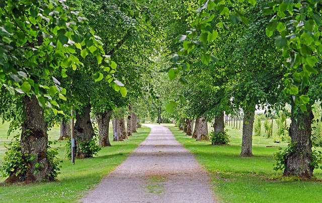 Investment Park