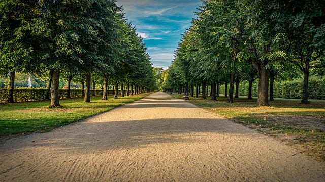Investment Park