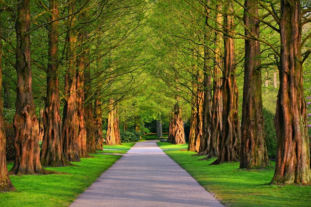 Investment Park