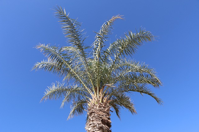 jbr-beach-dubai-640x480-89791410.jpeg