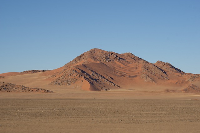 Kids-Friendly Desert