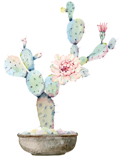 Kids-Friendly Desert