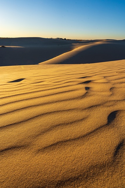 Kids-Friendly Desert