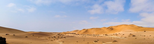 Kids-Friendly Desert