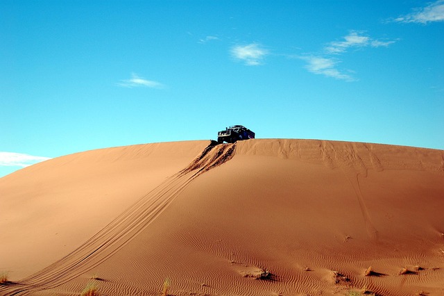 Kids-Friendly Desert