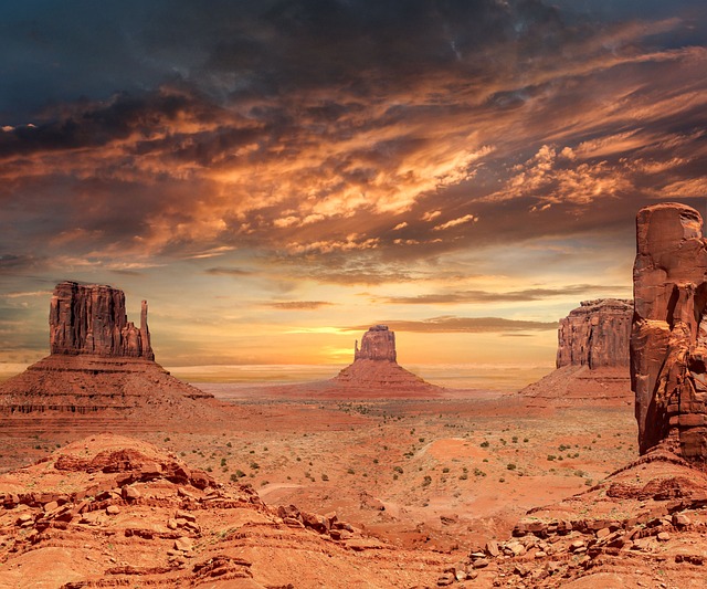 Kids-Friendly Desert