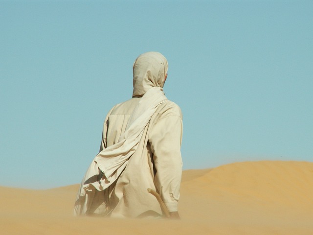 Kids-Friendly Desert