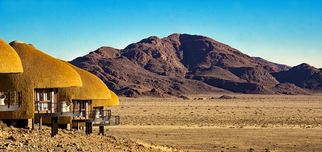 Kids-Friendly Desert