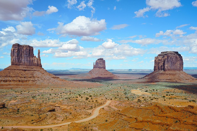 Kids-Friendly Desert
