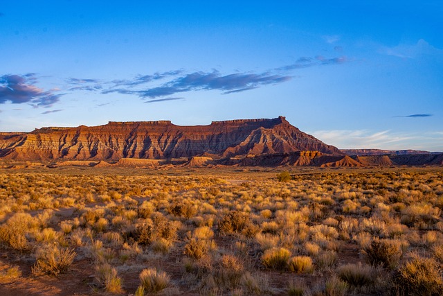 Kids-Friendly Desert