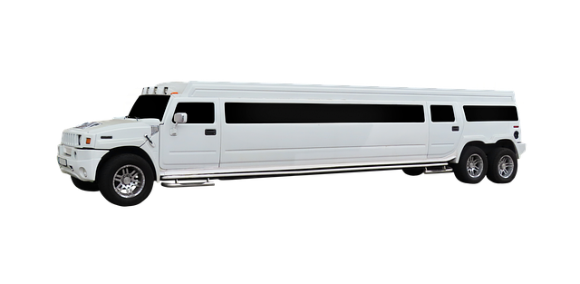 limousine service