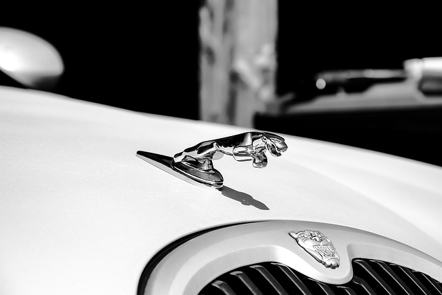 Limousine Service