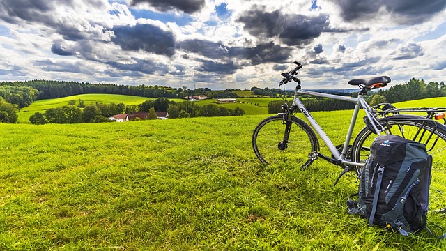 local tour packages