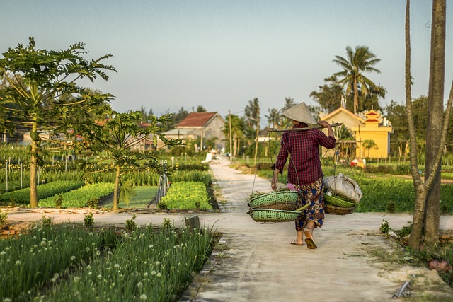 local tour packages