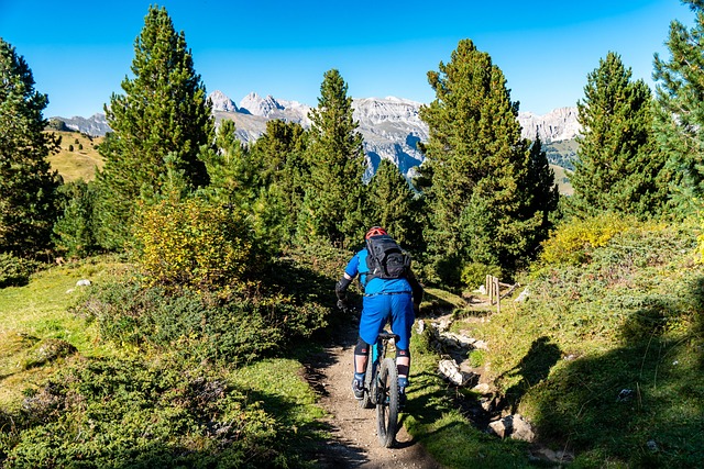 local tour packages