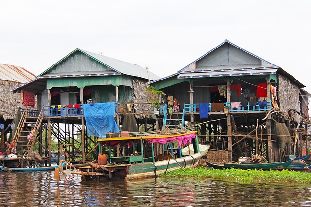 local tour packages