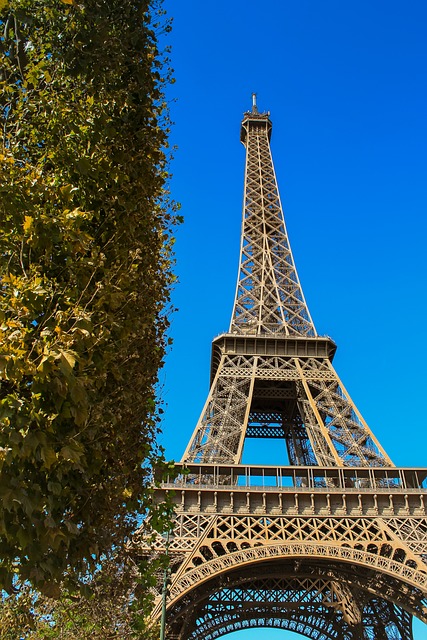local tour packages