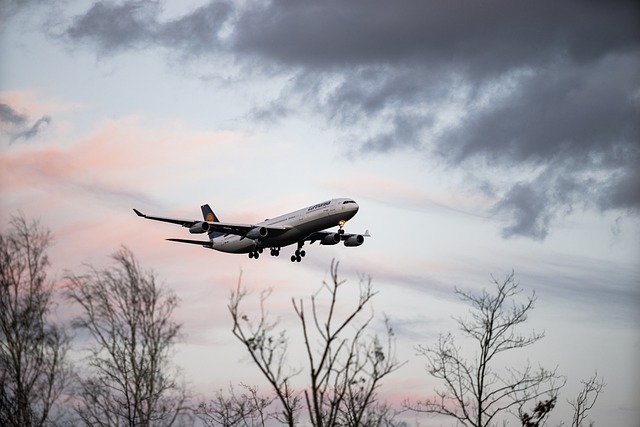 luxury airport transfer