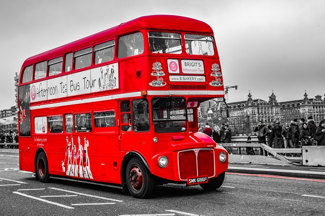 luxury bus rental