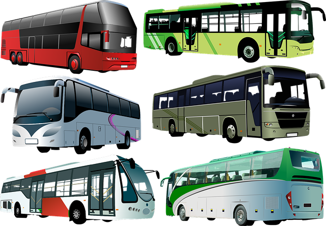 luxury bus rental